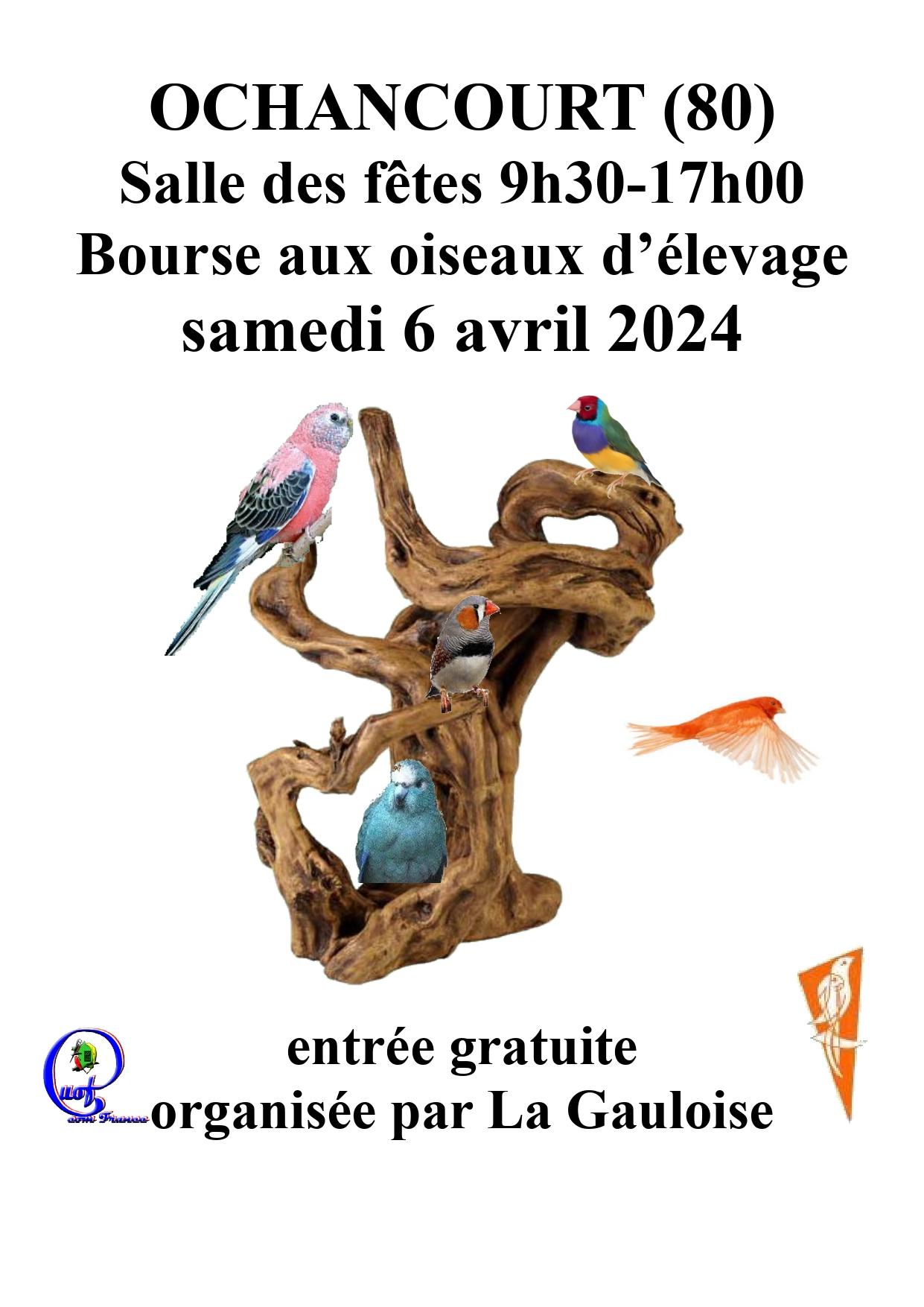 Affiche ochancourt 2024