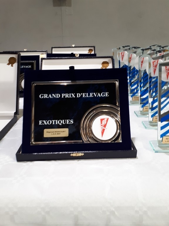 les grands prix d'élevage