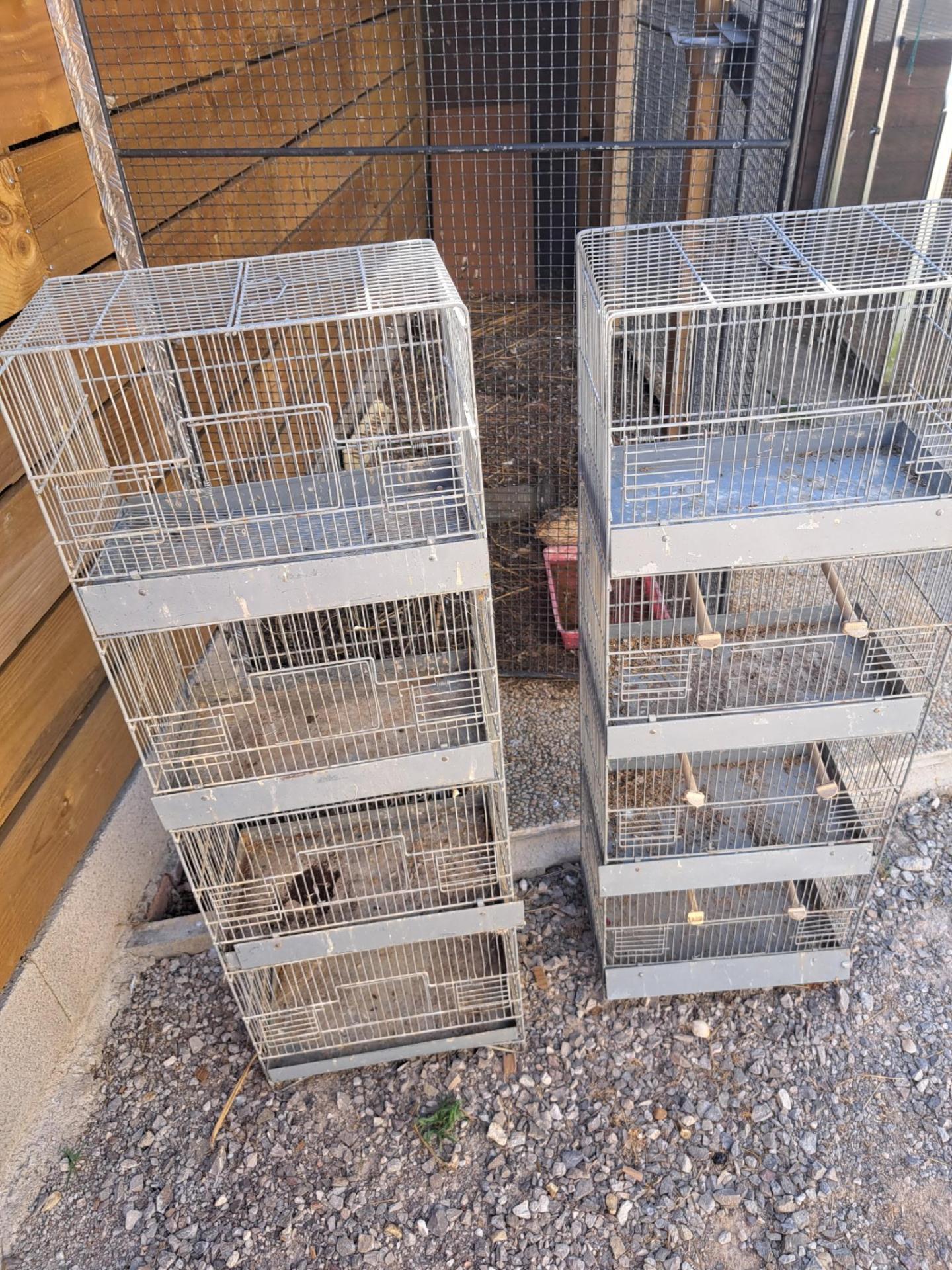 Cages martial